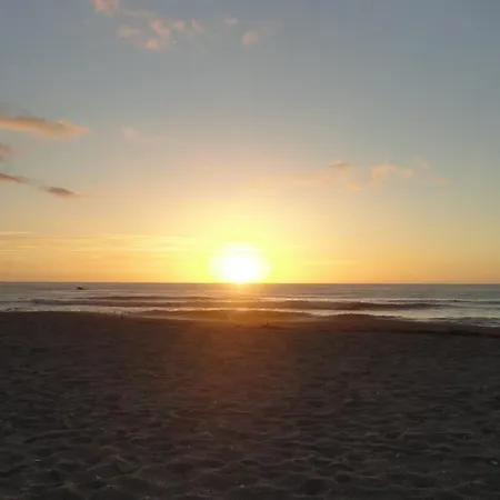 公寓 La Violetta 奥斯图尼