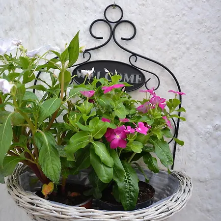 Appartamento La Violetta Ostuni